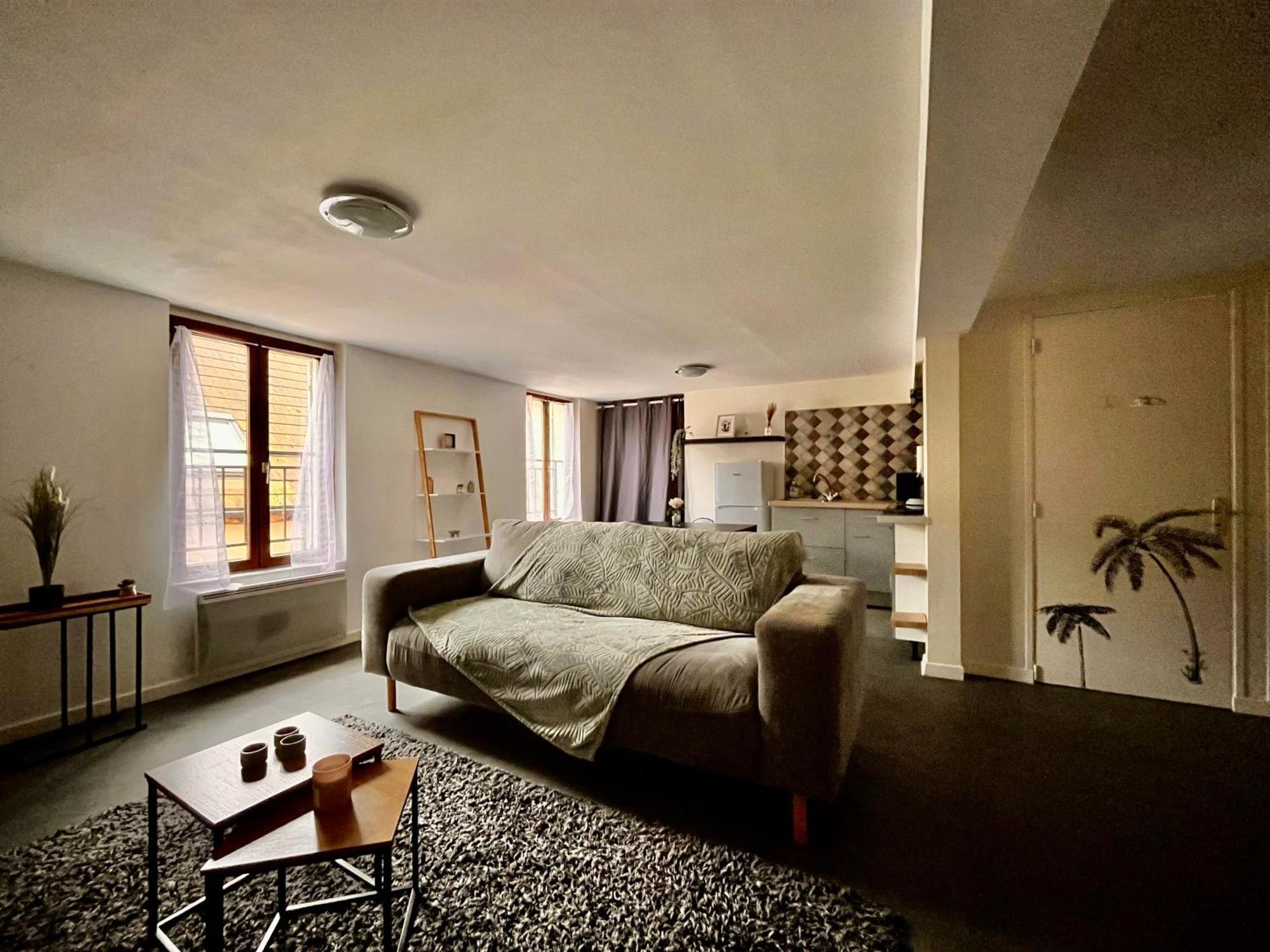 La Parenthese De L'eau Benite Appartement Troyes